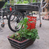 moveable feast