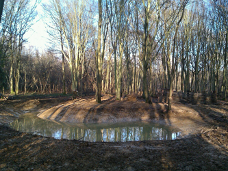 our third regenerated pond